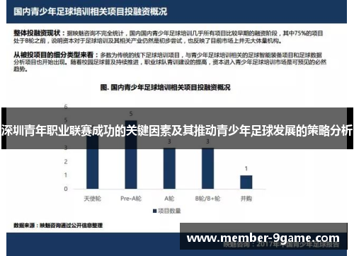 深圳青年职业联赛成功的关键因素及其推动青少年足球发展的策略分析 深圳青年职业联赛成功的关键因素及其推动青少年足球发展的策略分析