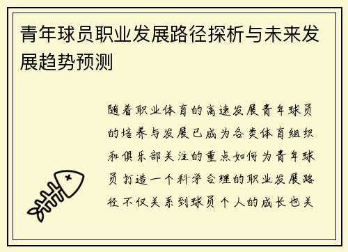 青年球员职业发展路径探析与未来发展趋势预测 青年球员职业发展路径探析与未来发展趋势预测